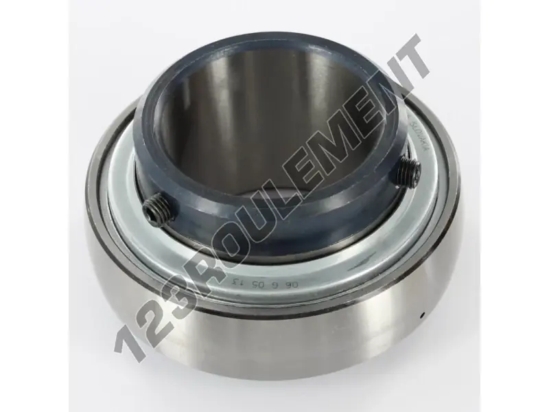 Accessoire de palier GYE55-KRR-B-INA Quantité Limitée