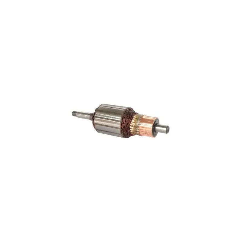 Nouvel Arrivage Induit 1104013439 pour dynamo Bosch