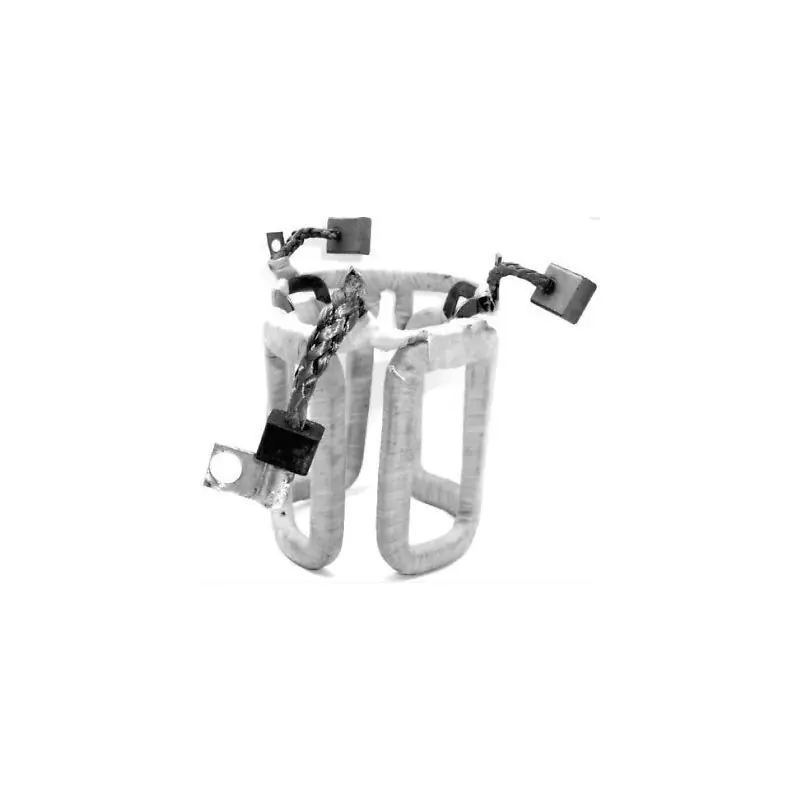 Jeu d' inducteur / Bobine remplace BOSCH 2004114297 / 2004114060 / 2004114137 / 2004114291 / ISKRA 16.905.386 Dernier Modèle