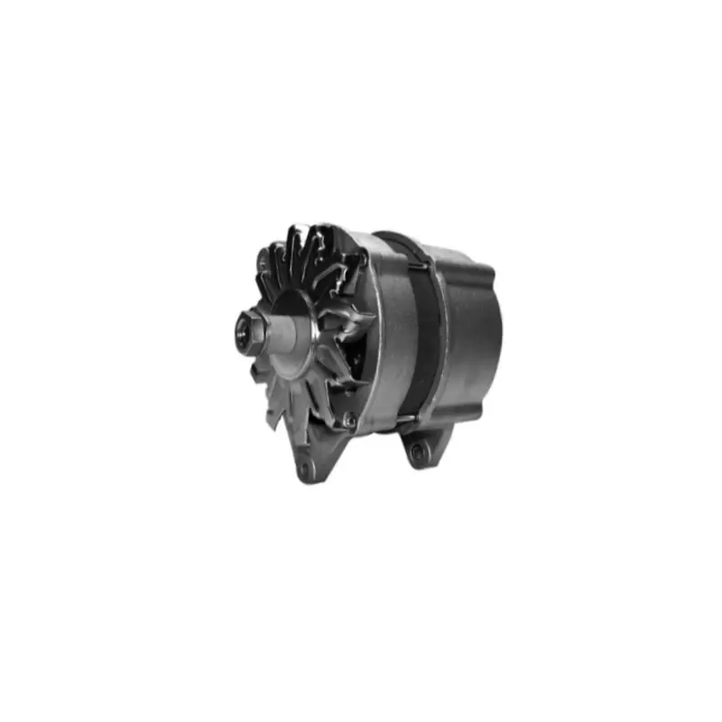 Alternateur MAHLE 11204479 / AAK4855 / 72735038 / MG39 / IA1542 Soldes