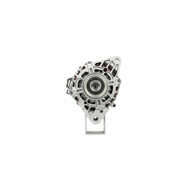 Alternateur VALEO A0002619096 / 2618819 / 2619096 Artisanat